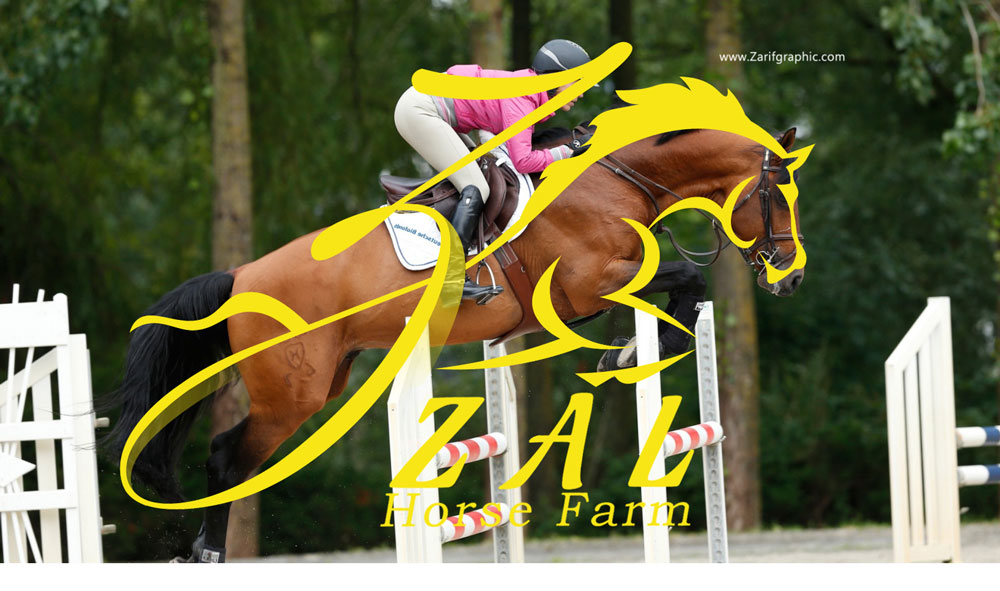 Professional design of equestrian club in zarif graphic